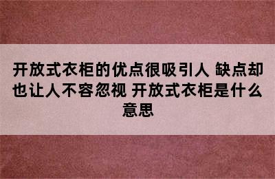 开放式衣柜的优点很吸引人 缺点却也让人不容忽视 开放式衣柜是什么意思